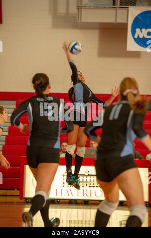 I membri del team guarda come Johns Hopkins University femminile di pallavolo player salti fino a colpire la palla nel corso di una Conferenza del Centenario semifinale partita con Franklin Marshall e College, Maryland, Novembre 6, 2010. Dall'Homewood raccolta di fotografie. () Foto Stock