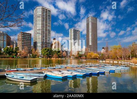 Vista invernale di Shinobazu Pond nel famoso Parco di Ueno Foto Stock