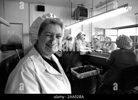 Pasticceria cioccolato operai addetti alla linea di produzione a York, Inghilterra, Regno Unito 1985 Foto Stock