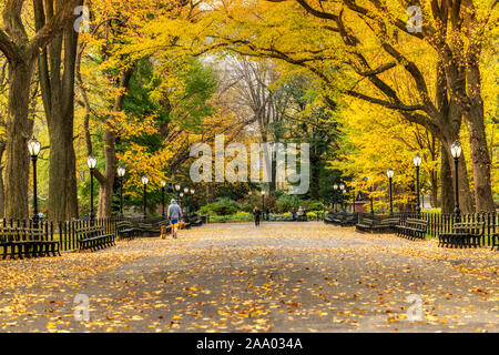 Vista autunnale del Mall e passeggiata letteraria, Central Park, Manhattan, New York, Stati Uniti d'America Foto Stock