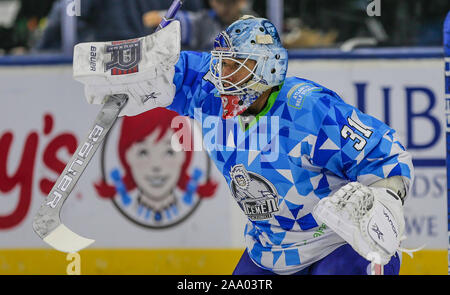 Il Jacksonville Icemen goaltender Michael McNiven (31) durante il warm-up prima di un ECHL professional hockey gioco contro la Orlando orsi solare a Veterans Memorial Arena a Jacksonville, Florida, Sabato, nov. 16, 2019. [Gary Lloyd McCullough/CSM] Credito: Cal Sport Media/Alamy Live News Foto Stock