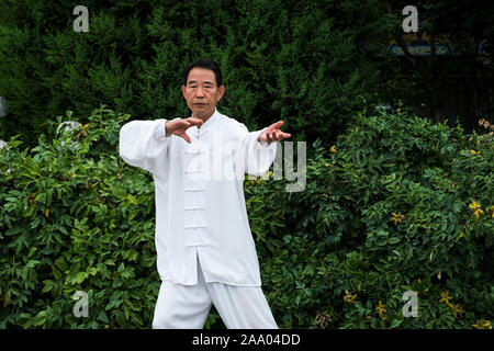 L'uomo facendo Tai chi esercita la mattina presto Foto Stock