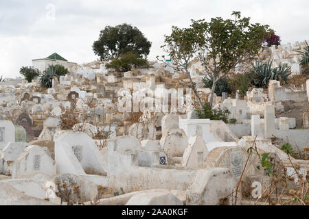 Fez, in Marocco. Il 9 novembre 2019. vista panoramica del cimitero musulmano di Fès Foto Stock