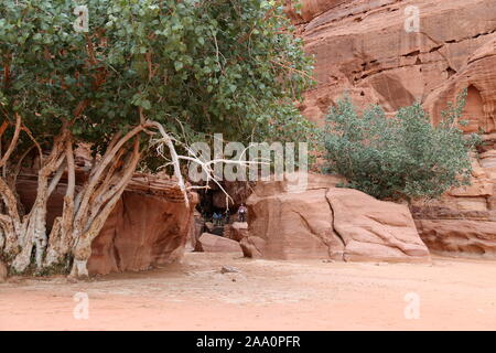 Canyon Di Jabal Khazali, Area Protetta Di Wadi Rum, Governatorato Di Aqaba, Giordania, Medio Oriente Foto Stock