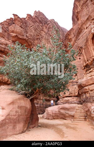 Canyon Di Jabal Khazali, Area Protetta Di Wadi Rum, Governatorato Di Aqaba, Giordania, Medio Oriente Foto Stock