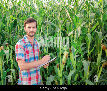 Maschio di coltivatore di piante di controllo sulla sua azienda. Concetto di agro-alimentare, ingegnere agricolo in piedi in un campo di mais con una pastiglia, scrive le informazioni. Agron Foto Stock