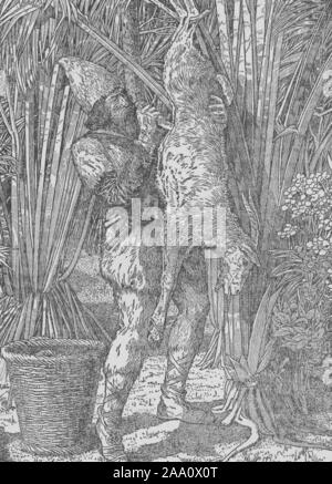 Illustrazione monocromatica di una scena dal libro "Robinson Crusoe' per autore Daniel Defoe, dotate di Crusoe vestiti di pelli di capra scuoiatura una capra, illustrato da Louis Rhead, pubblicato da Harper fratelli, 1900. Dalla Biblioteca Pubblica di New York. () Foto Stock