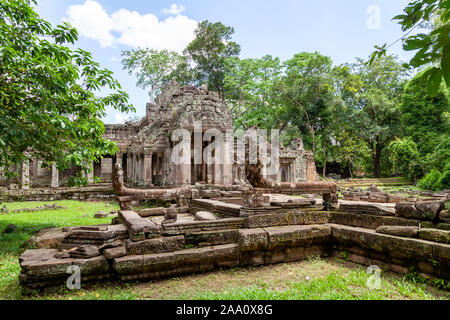 Preah Khan temple vicino a Siem Reap, Cambogia. Questo tempio sembra molto mistico con Moss copre le pietre. Un grande albero spung è famosa per questo tempio. Foto Stock