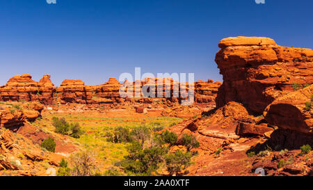 Il Parco Nazionale di Canyonlands, aghi distretto, Utah Foto Stock