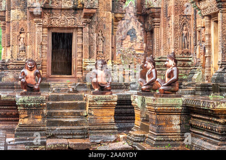 Tempio di Banteay Srei. Questo tempio è famosa per le belle e sculture dettagliate e anche per le scimmie. Anche in pioggia tropicale questo tempio è molto c Foto Stock