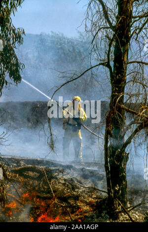 A seguito di una spazzola stagionali fire a Irvine, CA, un vigile del fuoco bagna giù ancora braci. Foto Stock