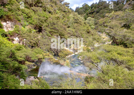 Geyser nella Valle Vulcanica di Waimangu Foto Stock