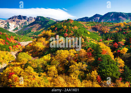 Mt. Tokachi, fogliame autunnale, prefettura di Hokkaido, Giappone Foto Stock