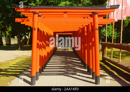 Izumi Santuario, Prefettura di Kumamoto, Giappone Foto Stock