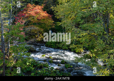 Flusso e fogliame di autunno Foto Stock