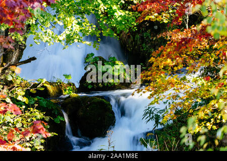 Flusso e fogliame di autunno Foto Stock