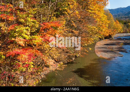 Foglie di autunno lungo waterside Foto Stock