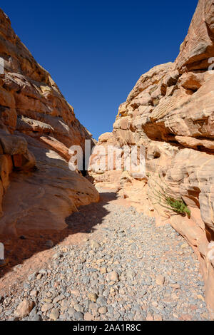 Scogliere si ergono a formare Slot Canyon in stato di Nevada park Foto Stock