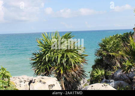 Rovine Maya presso la città di Tulum vicino a Cancun, Messico nello stato di Quintana Roo riempito con storia, edifici di pietra calcarea, la vegetazione e la fauna selvatica Foto Stock