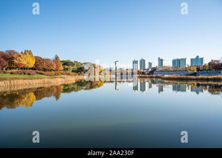 Foglie di autunno. Scenario autunnale. Lago. Seoul Olympic Park in Corea del Sud Foto Stock