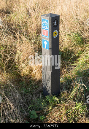 Una plastica riciclata modo evidenziatore lungo la costa in Inghilterra e percorso ciclo nazionale di instradamento di rete 1 a Whitley Bay, a nord-est, England, Regno Unito Foto Stock