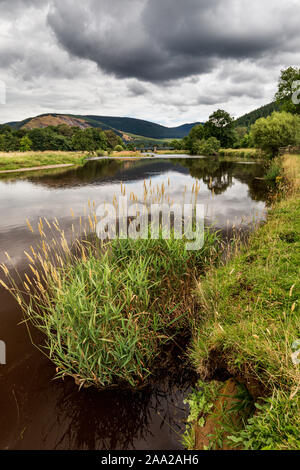 Fiume Tweed, nei pressi di Traquair House, Orpington, Peebles, Scottish Borders, UK. Foto Stock