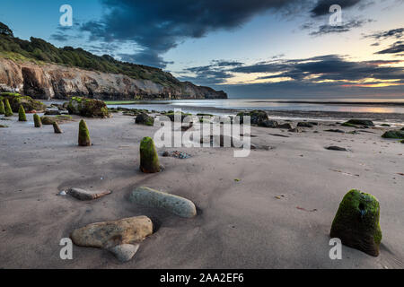 La mattina presto vista, con resti di pennelli, sulla spiaggia presso il villaggio sul mare di Sandsend, vicino a Whitby North Yorkshire England Regno Unito Foto Stock