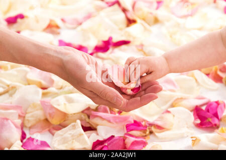 Close up femmina e baby mani con petali di rosa Foto Stock