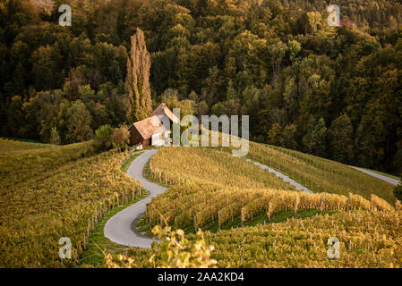 A forma di cuore la strada del vino in Slovenia Foto Stock