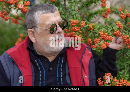 Outdoor ritratto di uomo anziano indossando occhiali da sole rotonda contro un arbusto con Pyracantha bacche nell autunno del giardino Foto Stock