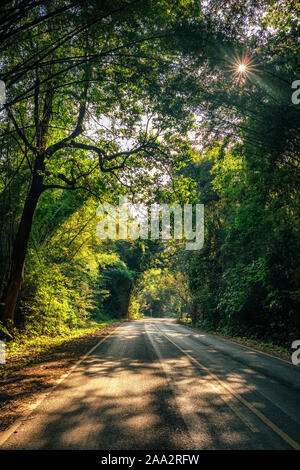 Mattina sole che splende attraverso gli alberi sulla strada del paese in Thailandia Foto Stock