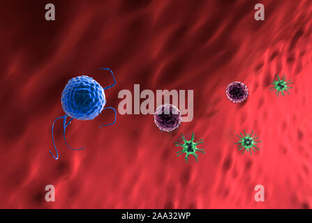 Fagocitano uccide i virus, all'interno del corpo umano, medico di grafica 3D, linfociti linfociti, linfociti contro virus, macrofago uccide i virus Foto Stock