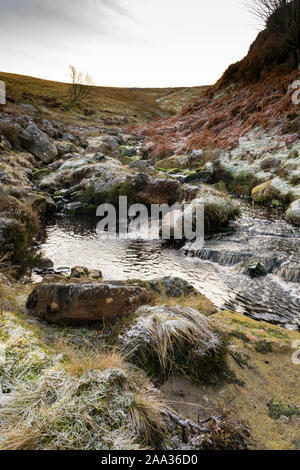 Frosty brughiera, Northumberland REGNO UNITO Foto Stock