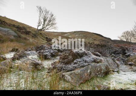 Frosty brughiera, Northumberland REGNO UNITO Foto Stock