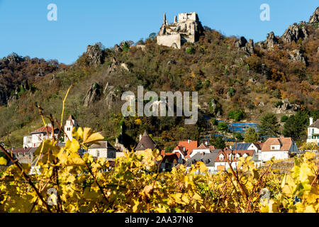 Durnstein cittadina con la vigna in primo piano e Durnstein castello sulla sommità della collina Foto Stock