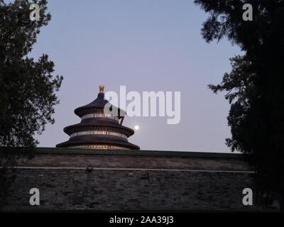 (191119) -- PECHINO, nov. 19, 2019 (Xinhua) -- Mobile photo mostra il Tiantan (Tempio del Paradiso) Park di Pechino, capitale della Cina, nov. 10, 2019. (Xinhua/Guan Guifeng) Foto Stock