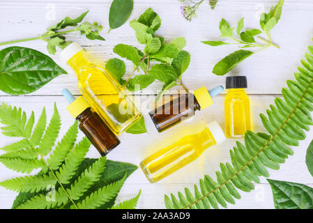 Oli essenziali naturali su legno e foglia di menta organic / aromaterapia olio a base di erbe aroma di bottiglie con fiore foglie di felce formulazioni a base di erbe comprendente w Foto Stock