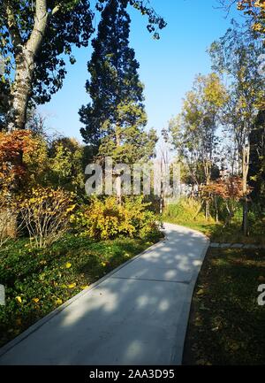 Pechino, Cina. 29 ott 2019. Mobile mostra fotografica autunno scenario della città Guangyanggu Forest Park nel distretto di Xicheng di Pechino, capitale della Cina, Ottobre 29, 2019. Credito: Ding Jing/Xinhua/Alamy Live News Foto Stock