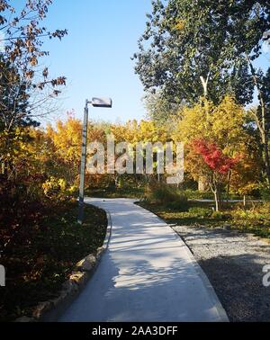 Pechino, Cina. 29 ott 2019. Mobile mostra fotografica autunno scenario della città Guangyanggu Forest Park nel distretto di Xicheng di Pechino, capitale della Cina, Ottobre 29, 2019. Credito: Ding Jing/Xinhua/Alamy Live News Foto Stock