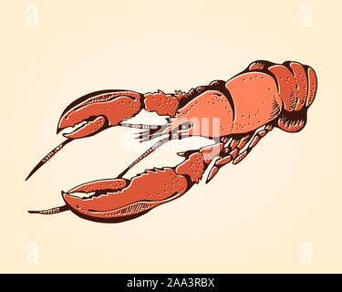 Astice disegnato a mano illustrazione vettoriale, frutti di mare colore isolato su sfondo beige Illustrazione Vettoriale