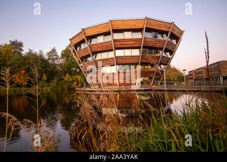 Autunno mattina presso il Learning Resource Center sul Giubileo del Campus dell Università di Nottingham, Nottinghamshire REGNO UNITO Inghilterra Foto Stock