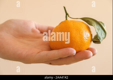 Maschio di mano trattiene il mandarino su sfondo chiaro. Foto Stock