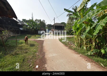 La scena del villaggio di Birsingha (luogo di nascita di Ishwar Chandra Vidyasagar). West Midnapore, Bengala occidentale. India. Foto Stock