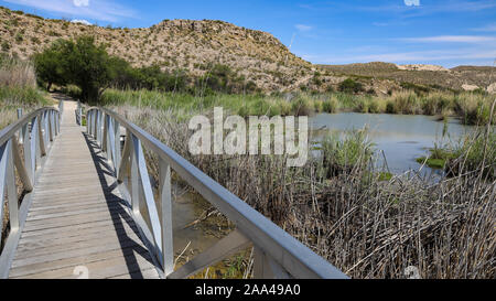 Il Footbridge attraverso paludi lungo il Rio Grande villaggio sentiero natura Foto Stock