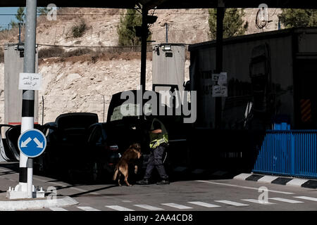 Attraversamento Tarqumiyah, Israele. Il 19 Novembre, 2019. Un cane è utilizzata per ispezionare il baule di un veicolo palestinese prima che sia consentito l'entrata in Israele per la traversata Tarqumiyah, a est di Kiryat Gat, il più grande incrocio per persone e commercio dal sud della Cisgiordania, principalmente a Hebron e Betlemme. Credito: Nir Alon/Alamy Live News. Credito: Nir Alon/Alamy Live News Foto Stock