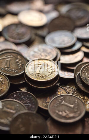 Extreme close up foto di uno polacco grosz monete (un centesimo di Polish zloty), il fuoco selettivo. Foto Stock