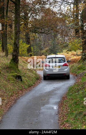 Piccola vettura andando fino a molto stretto viottolo attraverso boschi nel distretto del lago, Cumbria, Regno Unito. Foto Stock