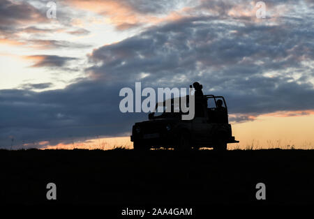 Kaziranga, Assam, India. Il 12 novembre 2019. Silhouette turisti su safari in jeep in Kaziranga. Foto Stock