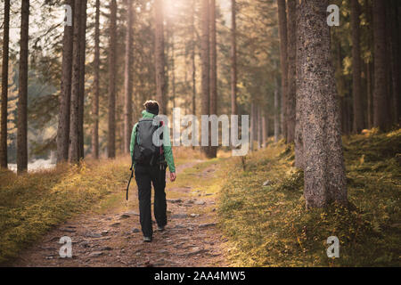 Donna escursionismo in una foresta autunnale, Bad Gastein, Salisburgo, Austria Foto Stock