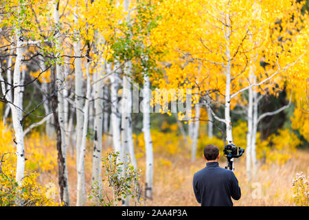 Castle Creek strada panoramica vista con uomo tenere la fotocamera gimbal riprese colorato foglie gialle fronde su american aspen alberi in Colorado Rocky Mountain Foto Stock